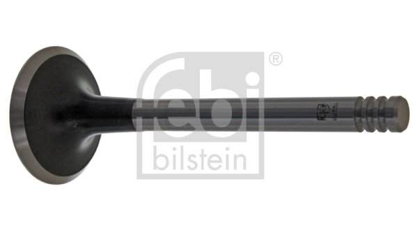 Intake Valve